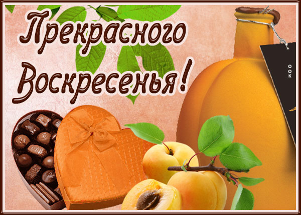 Открытка милая картинка прекрасного воскресенья