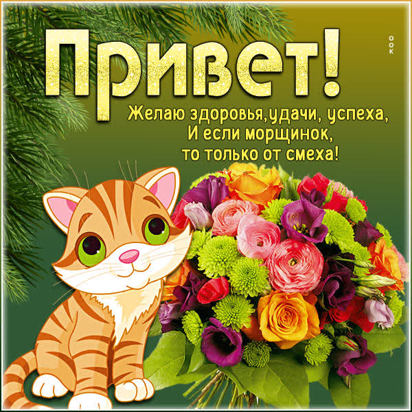 Picture милая картинка привет желаю успеха