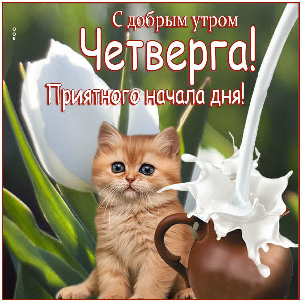 Postcard милая картинка приятного начала дня