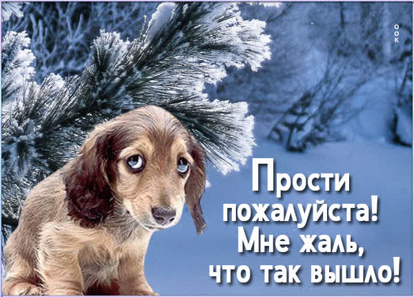 Postcard милая картинка прости пожалуйста