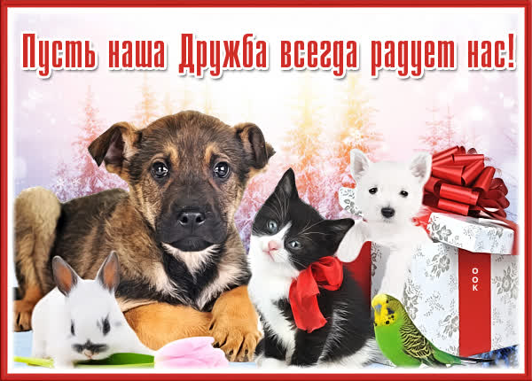 Postcard милая картинка пусть дружба всегда радует нас