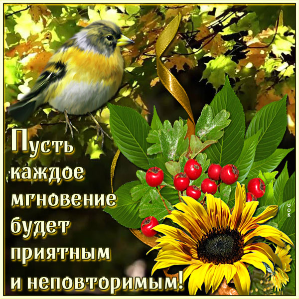 Открытка милая картинка, пусть каждое мгновение будет приятным