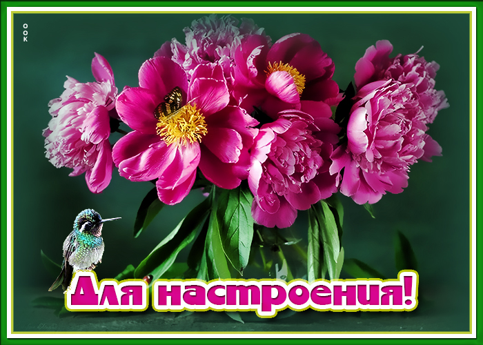 Открытка милая картинка с пионами