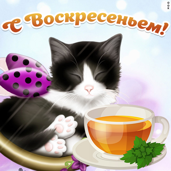 Открытка милая картинка с воскресеньем