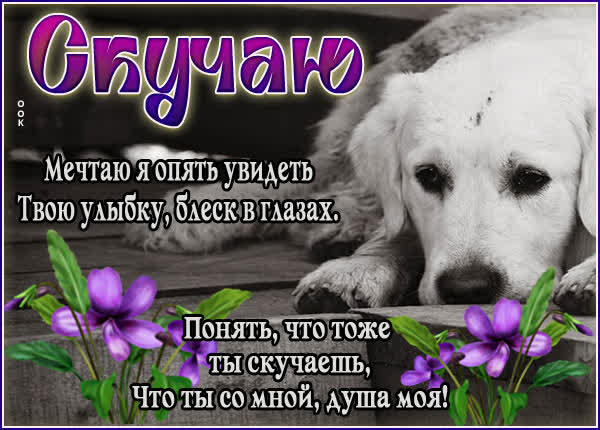 Postcard милая картинка скучаю