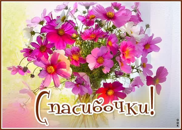 Postcard милая картинка спасибочки