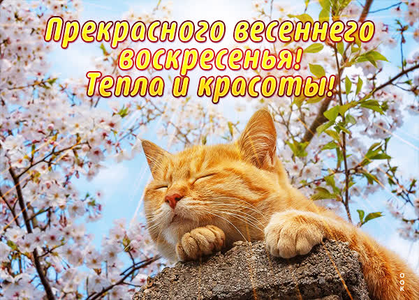 Picture милая картинка тепла и красоты