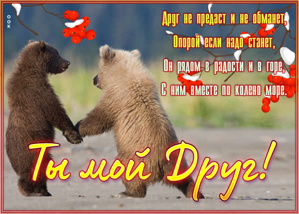 Postcard милая картинка ты мой друг