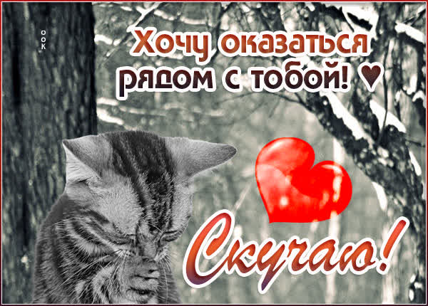 Postcard милая картинка хочу оказаться рядом с тобой