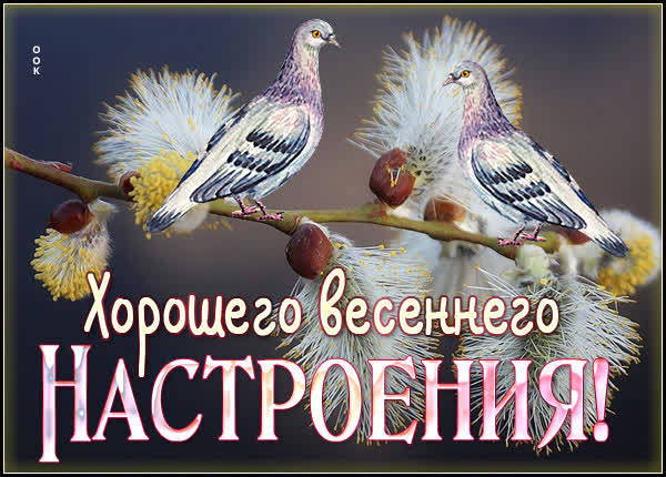 Picture милая картинка хорошего весеннего настроения