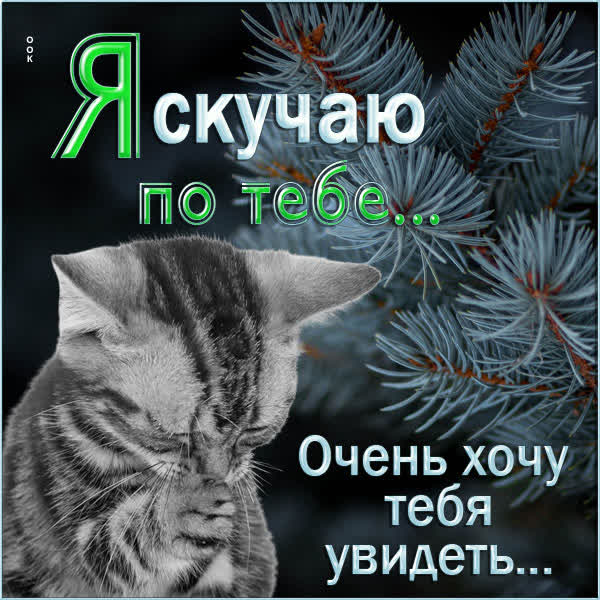 Postcard милая картинка я очень скучаю