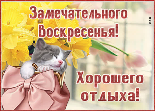 Picture милая картинка замечательного воскресенья