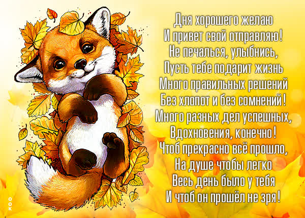 Postcard милая открытка дня хорошего желаю