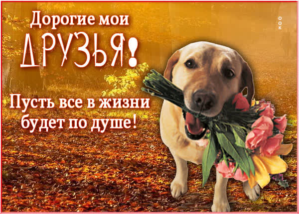 Picture милая открытка дорогие мои друзья