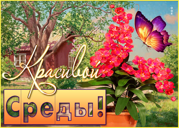 Postcard милая открытка красивой среды