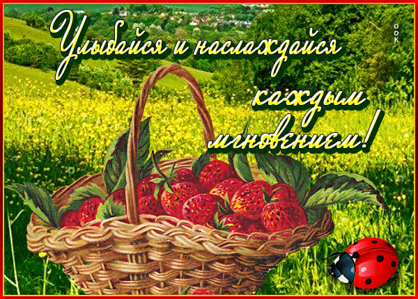 Postcard милая открытка наслаждайся каждым мгновением
