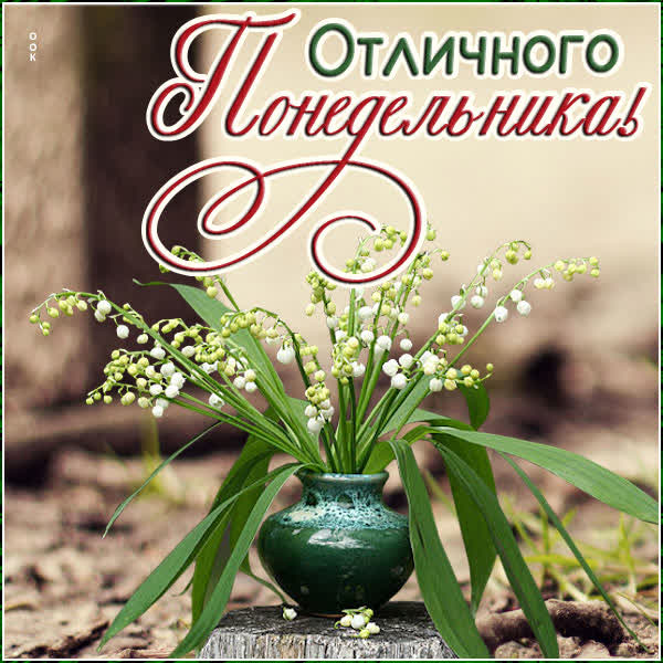 Postcard милая открытка отличного понедельника