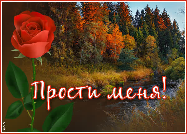 Postcard милая открытка прости меня