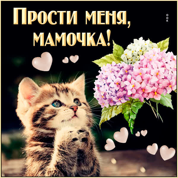 Picture милая открытка прости меня мамочка