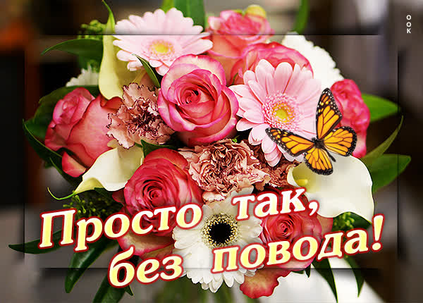 Postcard милая открытка просто так без повода