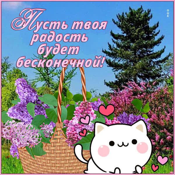 Postcard милая открытка пусть радость будет бесконечной