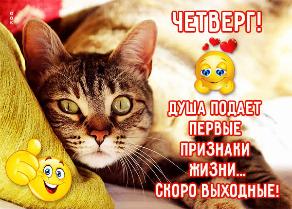 Postcard милая открытка с четвергом