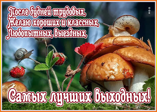 Postcard милая открытка самых лучших выходных