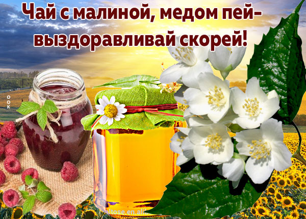 Открытка милая открытка выздоравливай