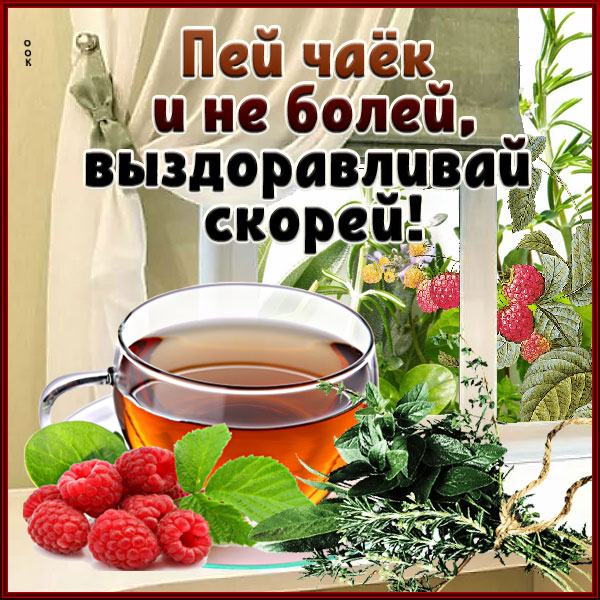 Картинка милая открытка выздоравливай быстрей и пей чаек