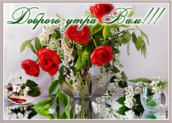 Картинка милое доброе утро