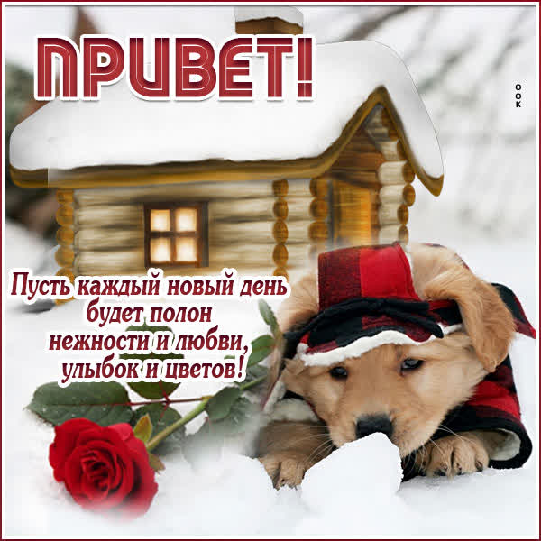 Postcard миловидная открытка привет