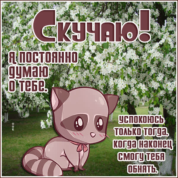 Picture миловидная открытка скучаю