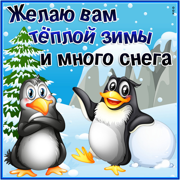 Открытка необычная картинка с пожеланием