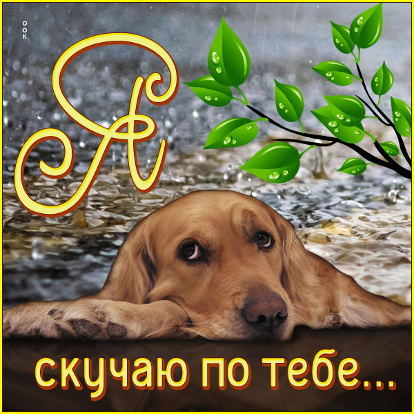 Картинка необычная открытка скучаю