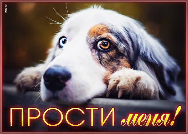 Picture неповторимая прости меня
