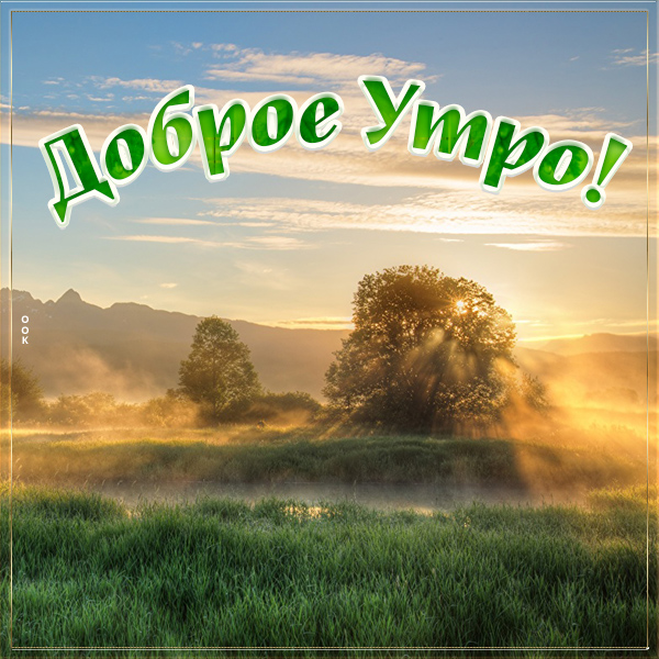 Открытка нежная картинка доброе утро с природой