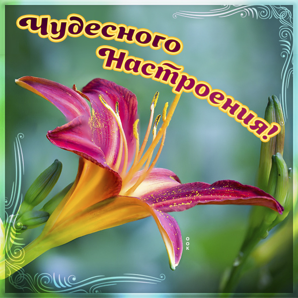Картинка нежная картинка хорошего настроения