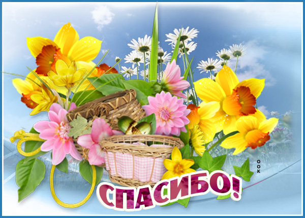 Картинка нежная картинка спасибо