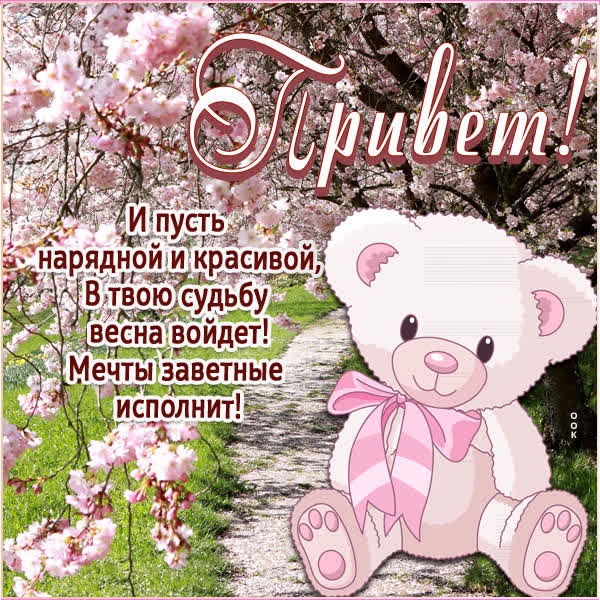 Postcard нежная открытка привет