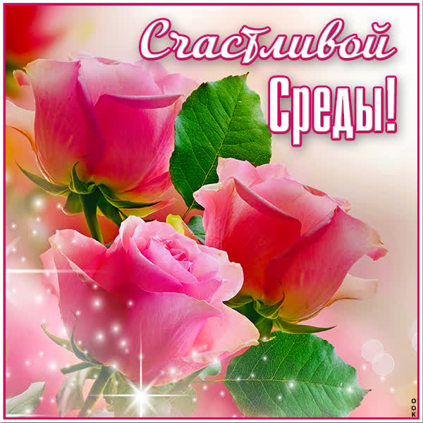 Picture нежная открытка счастливой среды