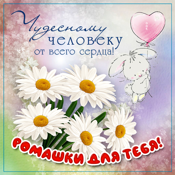 Открытка новая картинка с ромашками