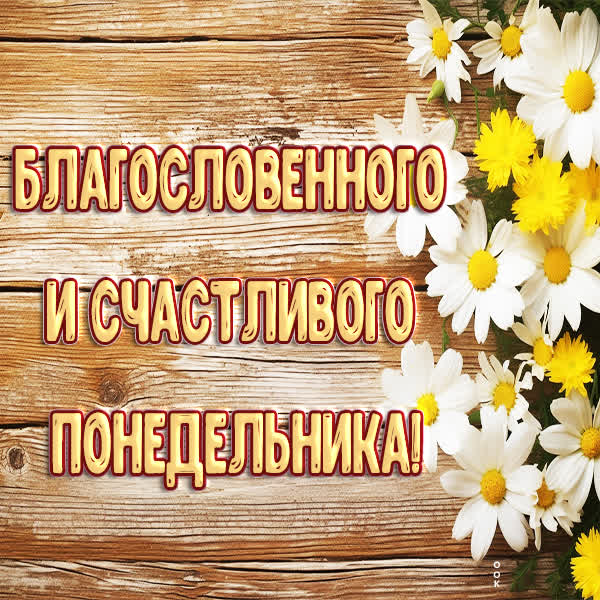Picture новая картинка счастливого понедельника