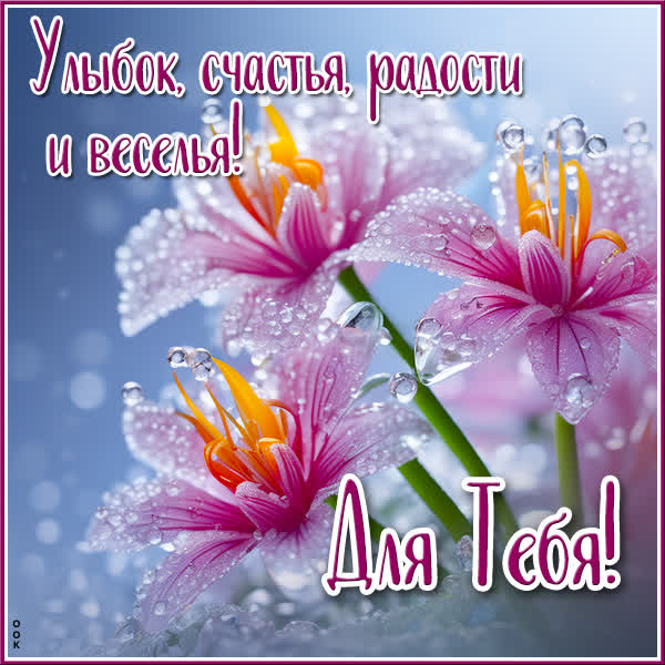 Picture новая открытка для тебя
