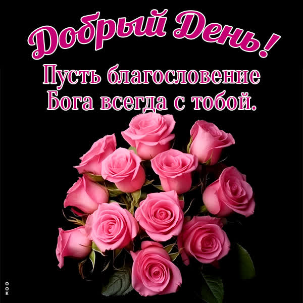 Postcard новая открытка  добрый день