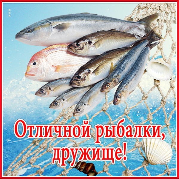 Картинка новая открытка другу