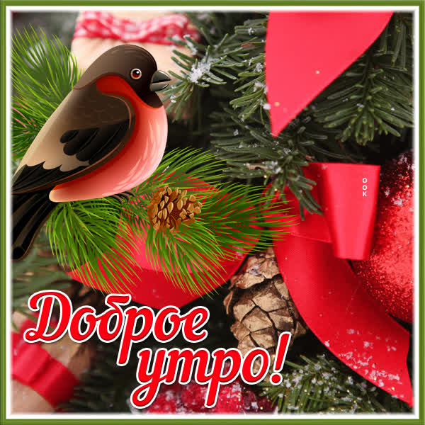 Postcard очаровательная картинка доброе утро