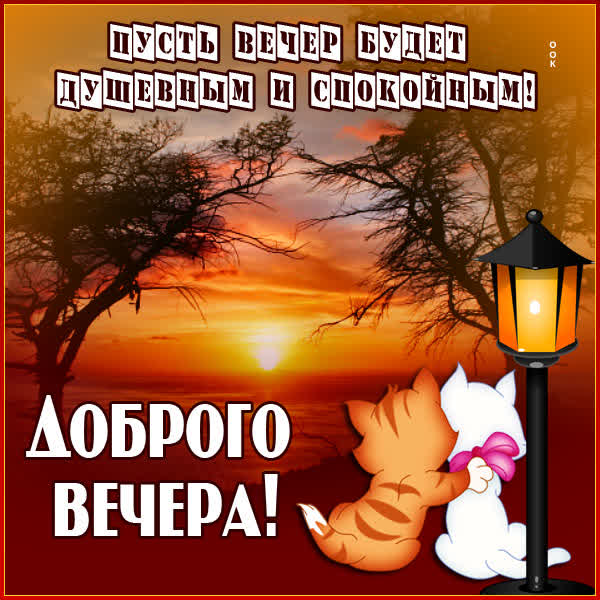 Postcard очаровательная картинка доброго вечера