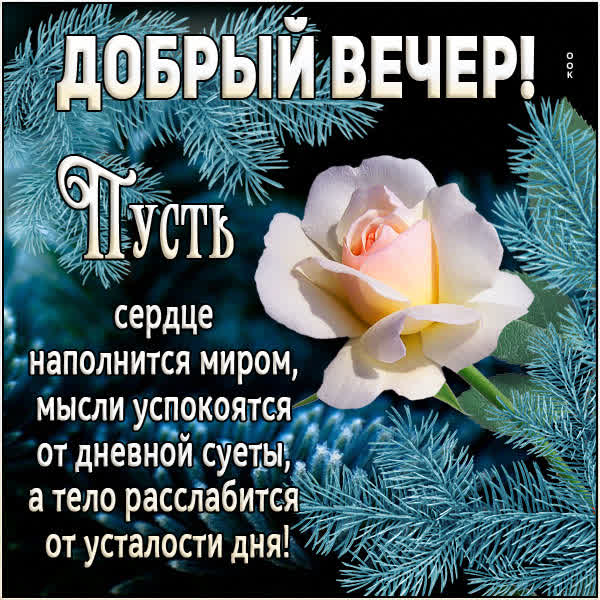 Postcard очаровательная картинка добрый вечер