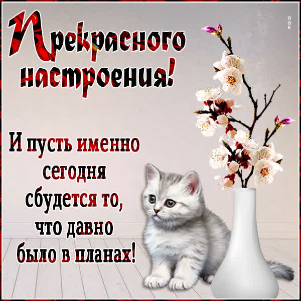 Picture очаровательная картинка прекрасного настроения