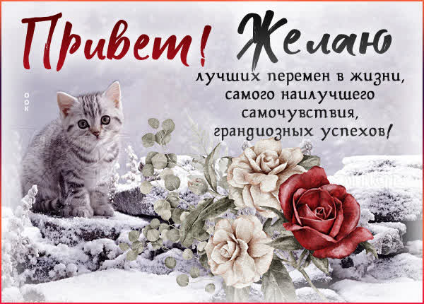 Picture очаровательная картинка привет